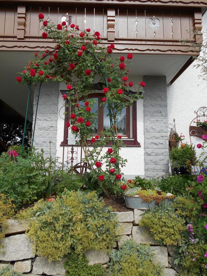 Ferienwohnung Arberblick 램 외부 사진