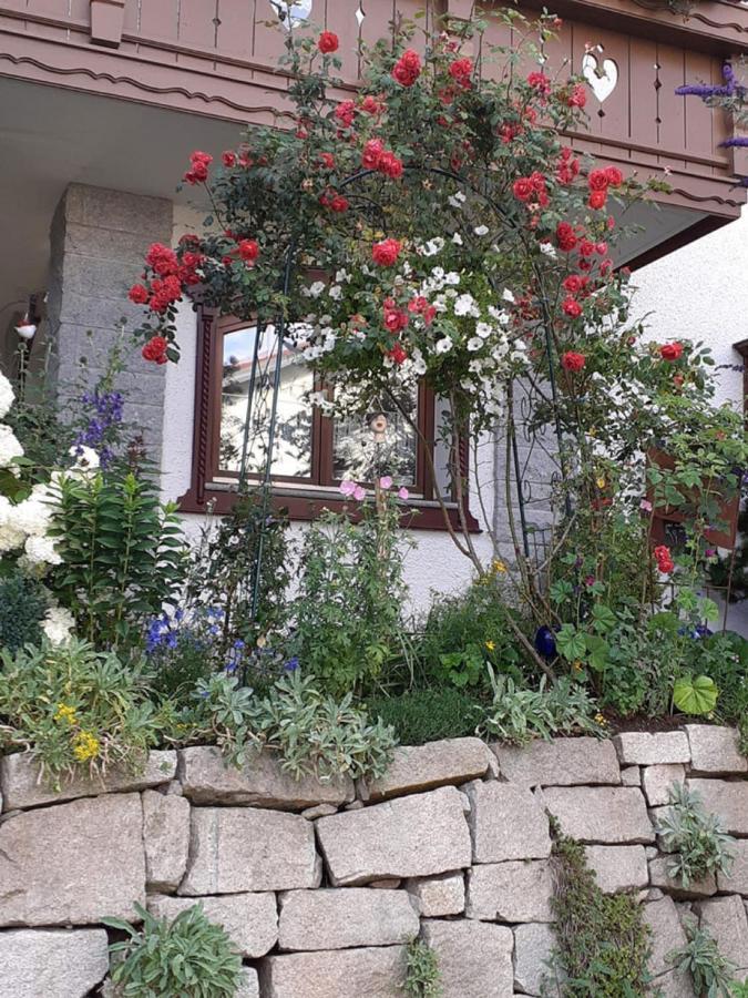 Ferienwohnung Arberblick 램 외부 사진